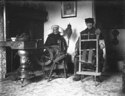 Spinnenwiel
